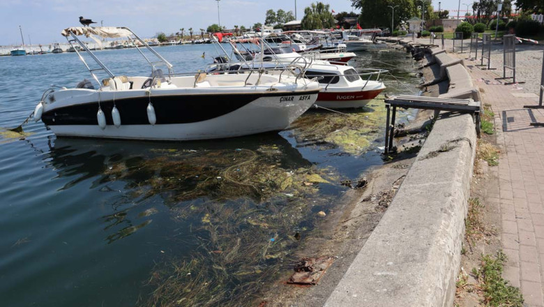 Balıkçı Barınağında Endişe Büyüyor, Halk Tedirgin