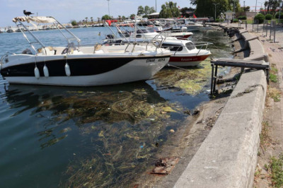 Balıkçı Barınağında Endişe Büyüyor, Halk Tedirgin