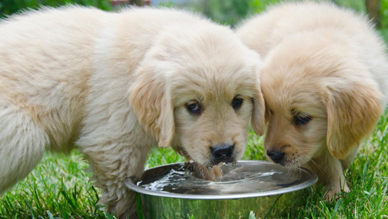 Yalova Belediyesi: Bir Kap Su, Bir Can Demek!