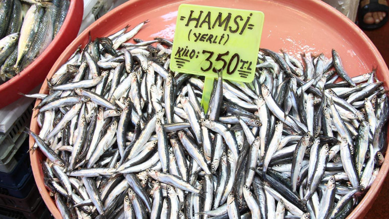 Av Yasağı Kalktı, Yalova'da Tezgahlar Şenlendi!