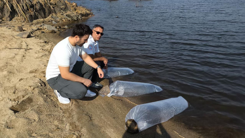 Yalova’daki Göletlere 180 Bin Yavru Balık Bırakıldı