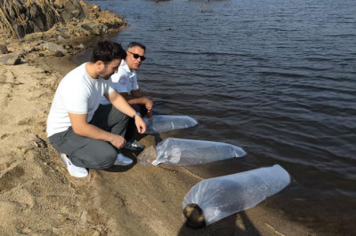 Yalova’daki Göletlere 180 Bin Yavru Balık Bırakıldı