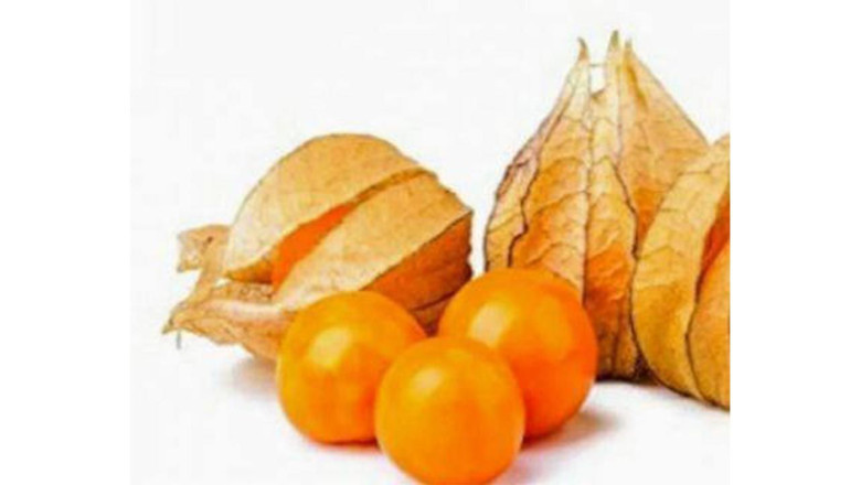 Yeni Altın Çilek Çeşidine Adı Verildi