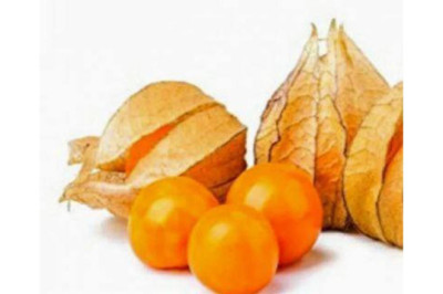 Yeni Altın Çilek Çeşidine Adı Verildi