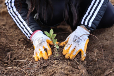 Uludağ Elektrik’ten Doğa Dostu Çözüm