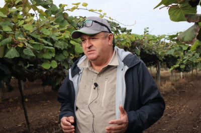 Don Zararı Sonrası Hurma Bahçelerinde Yeniden Doğuş