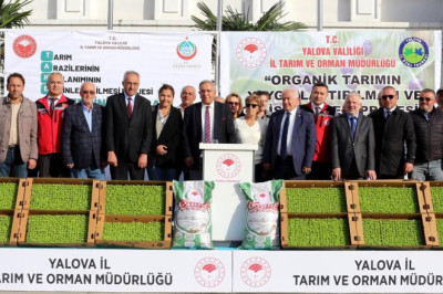 Yalova’da Çiftçilere Organik Aronya Gübresi ve 359 Bin Kıvırcık Fidesi Dağıtıldı