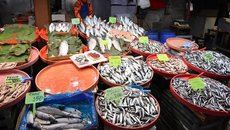 Aralık Ayı İtibariyle Yalova Balık Pazarı’nda Son Durum Ne?