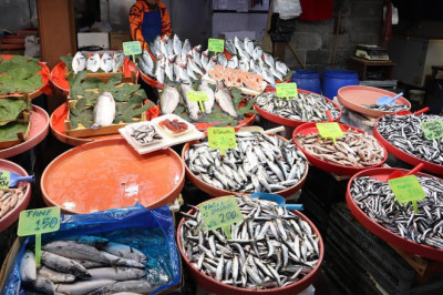 Aralık Ayı İtibariyle Yalova Balık Pazarı’nda Son Durum Ne?