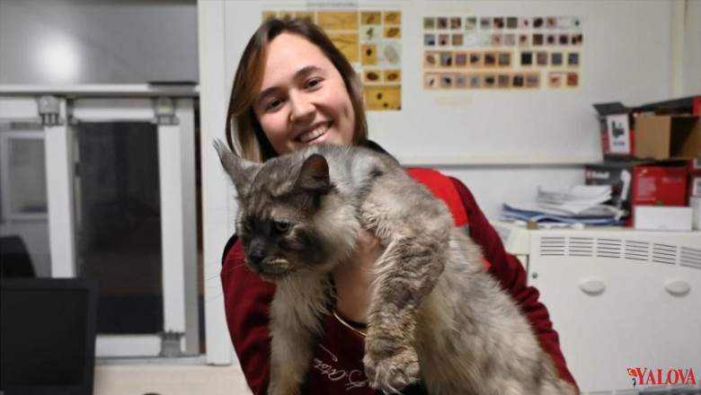 Yalova Belediyesi Çağrı Yaptı, Vatandaşlar Duyarsız Kalmadı