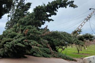 Yalova’da Fırtına Hayatı Olumsuz Etkiledi