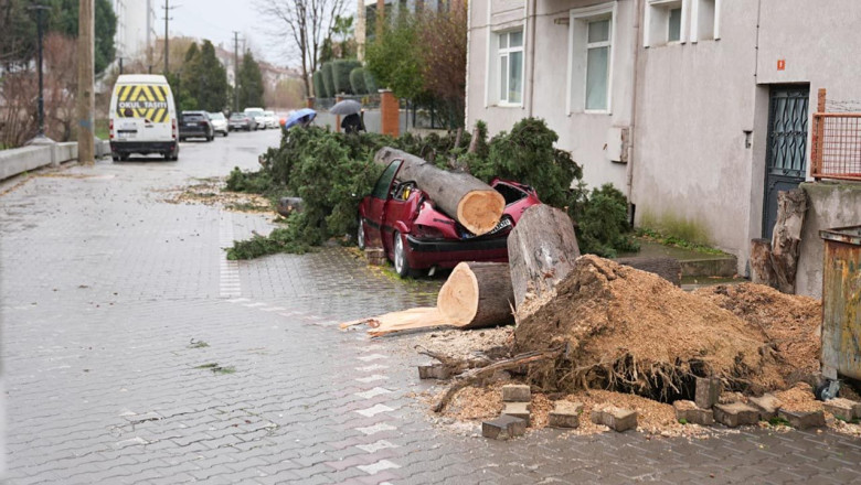 Yalova Belediyesi’nden Hava Durumu Uyarısı: Kuvvetli Rüzgar ve Kar Geliyor