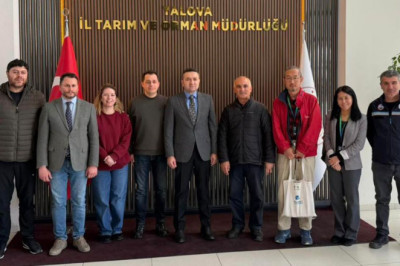 Japon Heyet, Midye Çiftliklerini İnceledi