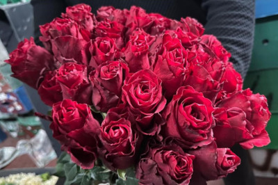 Yağış ve Don Geldi, Uganda ve Kenya Gülleri Öne Çıktı