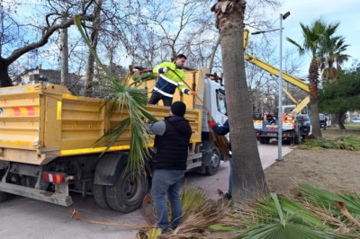 GAZİ PAŞA CADDESİ’NDE BUDAMA DEVAM EDİYOR