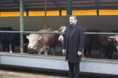 KURBANLIK SATIŞLARI 29 MART’TA BAŞLIYOR