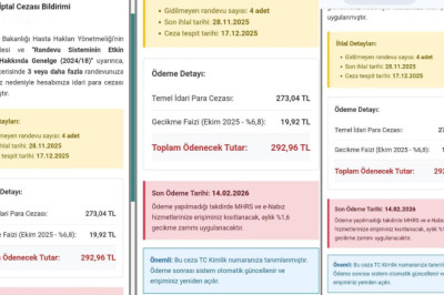 Yalovalılar Dikkat: MHRS Randevu Dolandırıcılığı Alarmı