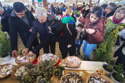 ATA TOHUMLARI TÜRKİYE’NİN DÖRT BİR YANINA YAYILIYOR