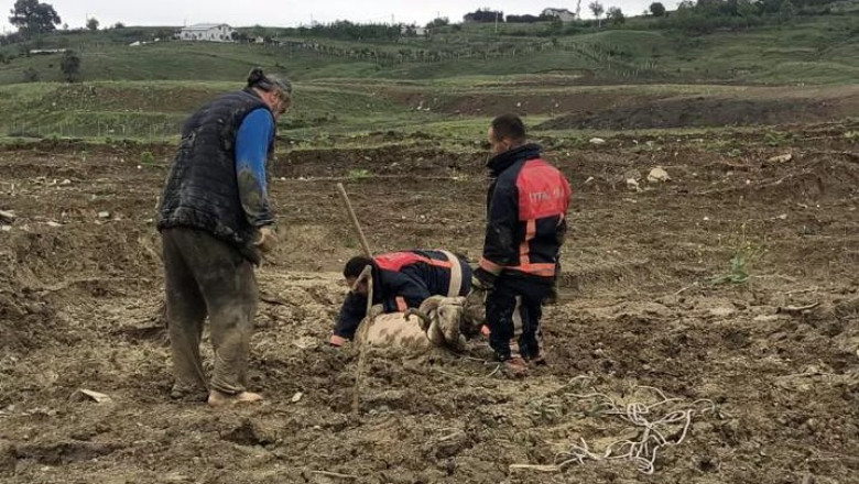ÇAMURA SAPLANAN KOÇ İÇİN SEFERBER OLDULAR