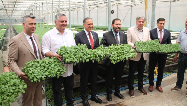 Çiftçiye 800 bin adet atalık tohum