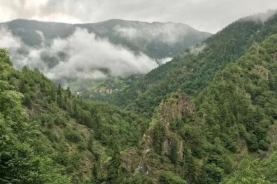 Yalova'da Ormanlarda Ateş Yakmak Yasak