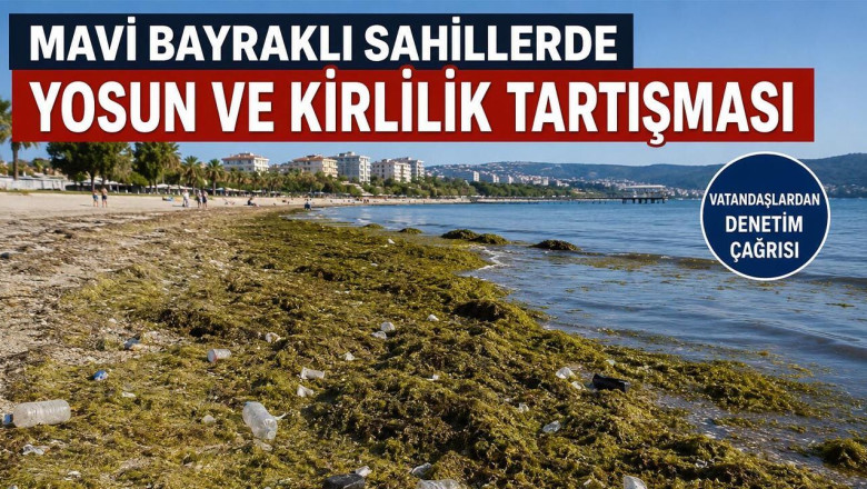 Sahillerde Temizlik Tartışması Büyüyor