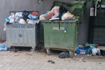 Sugören Köyü sakinlerinden sokağa saçılan çöplere tepki