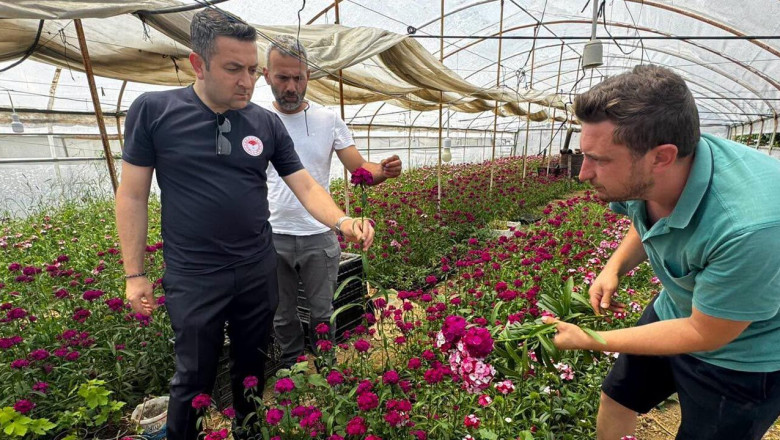 İl Müdürü İlmeç'ten Çiçek Üreticisine Yerinde Destek