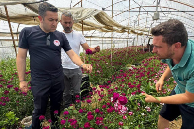 İl Müdürü İlmeç'ten Çiçek Üreticisine Yerinde Destek