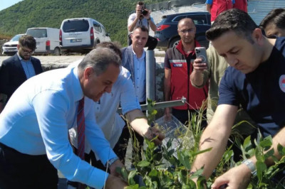 Yalova’da yılın ilk yaban mersini hasadı gerçekleştirildi