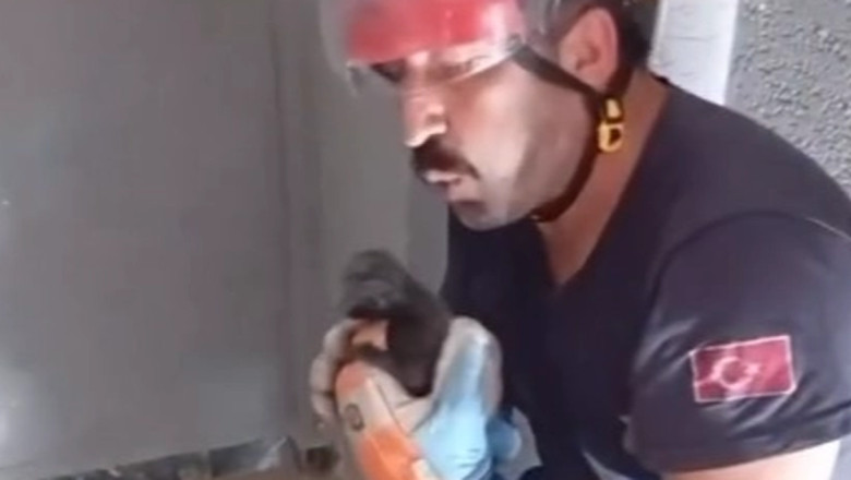 Duvar boşluğunda doğum yapan anne kedi ve yavruları kurtarıldı