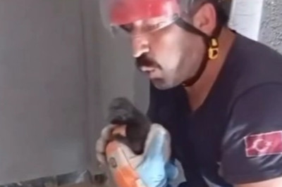 Duvar boşluğunda doğum yapan anne kedi ve yavruları kurtarıldı