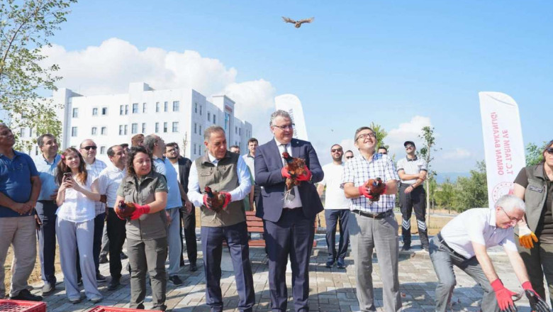 SÜLÜNLER DOĞAYLA BULUŞTU