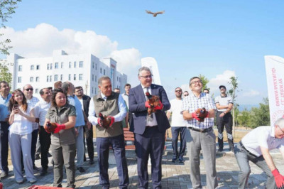 SÜLÜNLER DOĞAYLA BULUŞTU