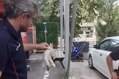 Yalova İtfaiyesi Minik Kedinin İmdadına Yetişti