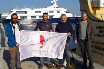 Yalova’daki Yapay Resifler İlk Kez Bilimsel Olarak İncelendi