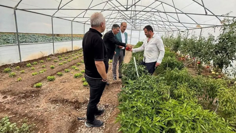 Bayburt'ta Dolu Yağışı Zararları Yerinde İncelendi