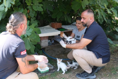 HAYBULANS EKİPLERİ GÖREV BAŞINDA