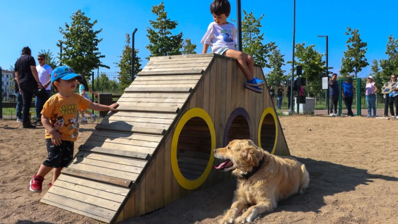 PATİLİ DOSTLARIMIZA ÖZEL PATİ PARK AÇILDI