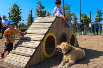 PATİLİ DOSTLARIMIZA ÖZEL PATİ PARK AÇILDI