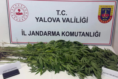 3 ŞÜPHELİ GÖZALTINA ALINDI