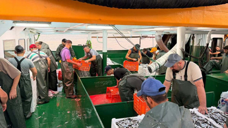 YALOVA’DA HAMSİ KOTASI DENETİMLERİ 7/24 SÜRÜYOR
