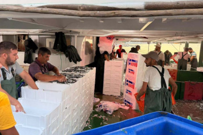 YALOVA’DA BALIKÇILIĞIN 3 YILLIK TABLOSU