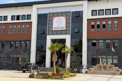 78 YILLIK ÇINAR YENİDEN DOĞDU