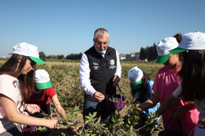 Bakan Işıkhan Yalova’da Aronya Hasadına Katıldı