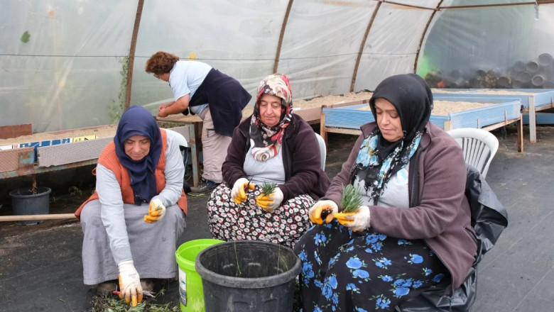 KIŞ DÖNEMİ BİTKİ ÜRETİMLERİ BAŞLADI