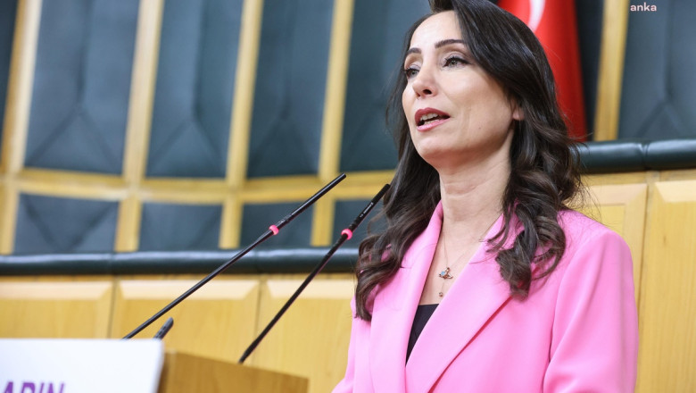 DEM Partili Hatimoğulları, Öcalan'ın özgürce çalışıp iletişim kurmasını istedi