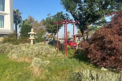Yalova’nın 37 Yıllık Barış Çanı Çalındı